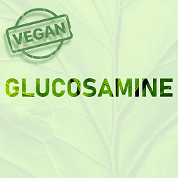 New Ingredient: Vegan D-Glucosamine 